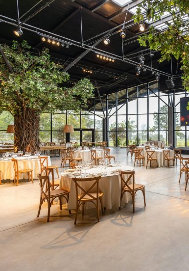 salon-de-eventos-santa-cruz